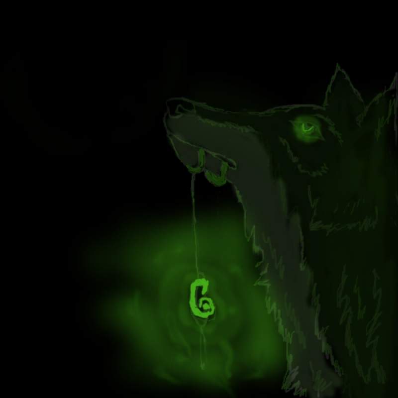 Wolf in the dark