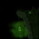 Wolf in the dark
