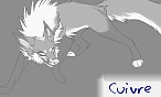 Cuivre