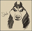Steele sketchy