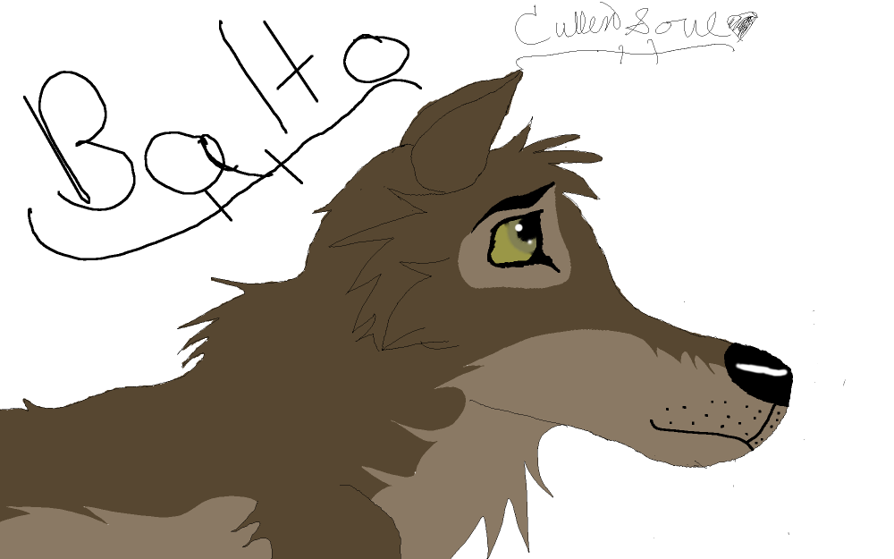 Balto Avvie^^