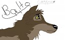 Balto Avvie^^