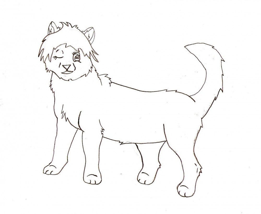 New version of my char, Sasha.
