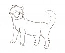 New version of my char, Sasha.
