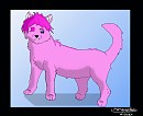 New version of Sasha!!!