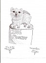 Pomeranian doodle.