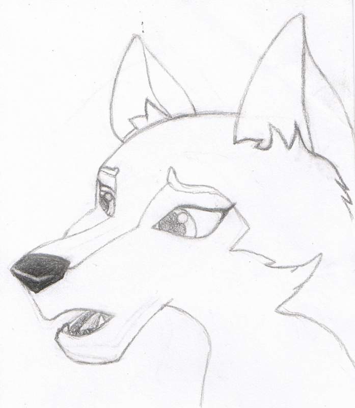 Aleu Pencil Drawing