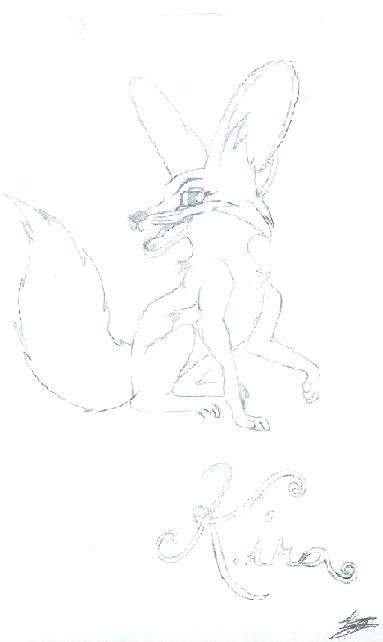 Kira the Fennec Fox