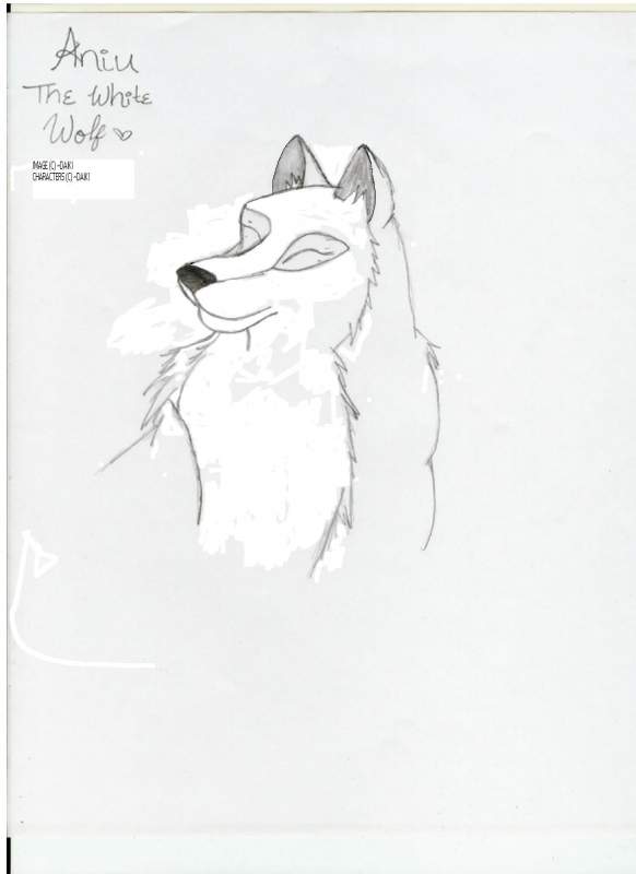 aniu