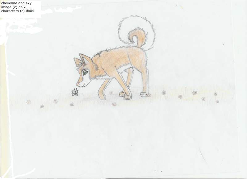 cheyenne