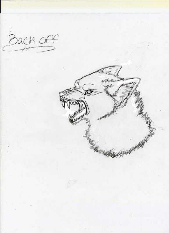 rawr