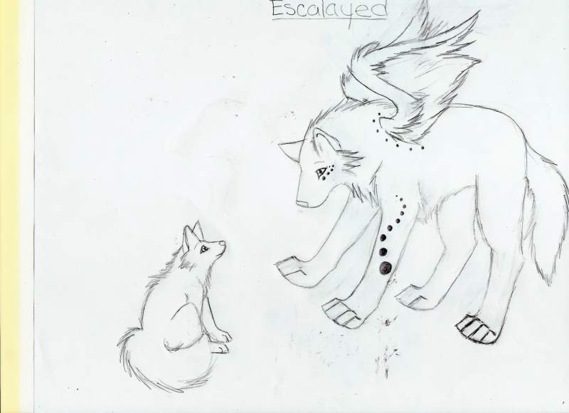 escalayed and puppy