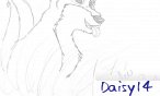 daisy14