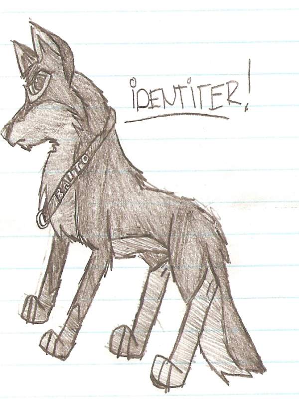 Identiter/Indentitie