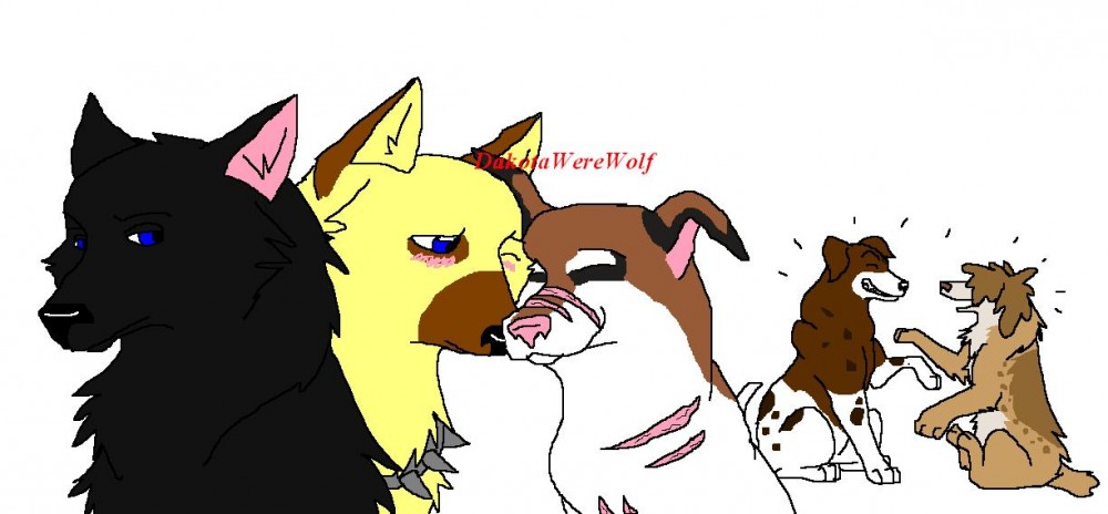 The Gang