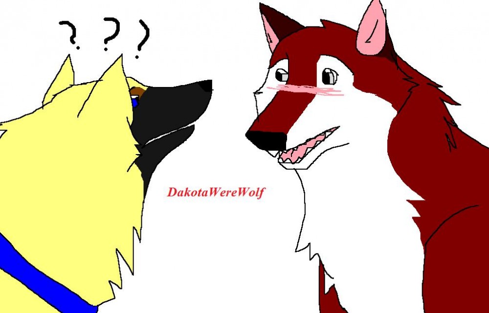 Whatcha looking at?