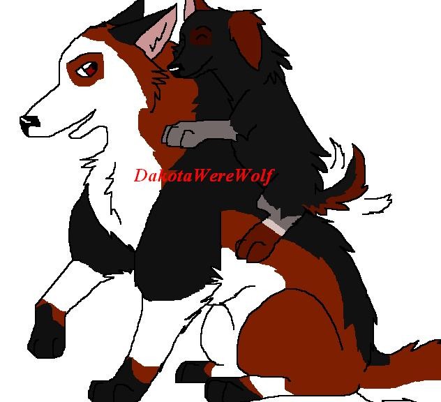 Trade #1 - Wolfhusky