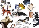 Character Dump... 8?