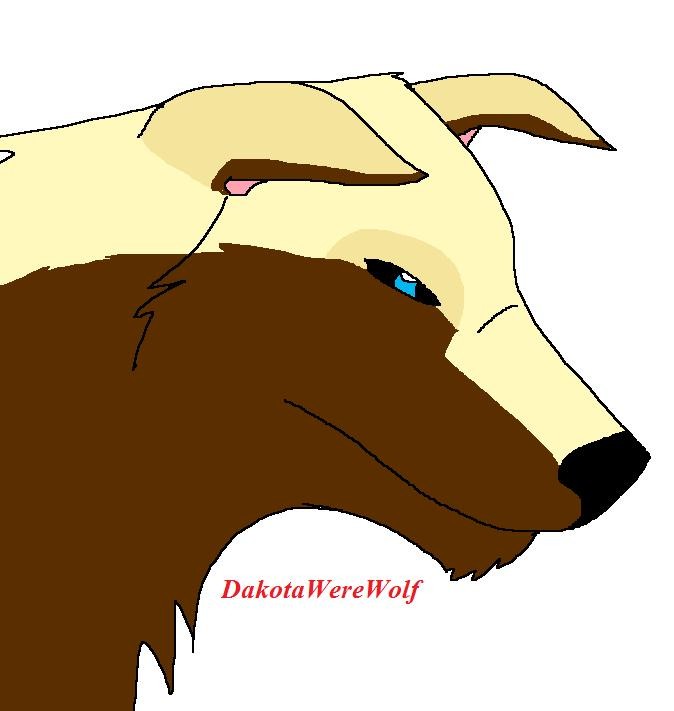 Kanook - For Draco