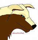 Kanook - For Draco