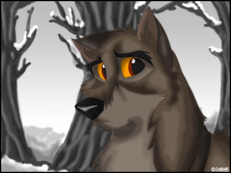 Balto