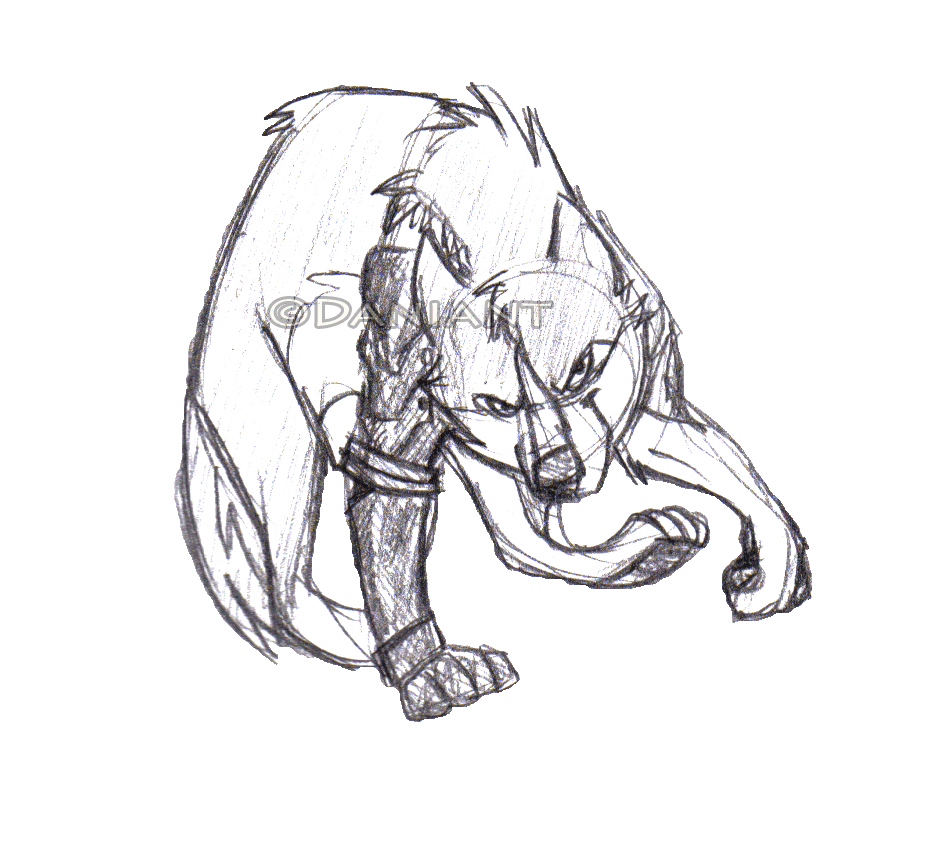 Dire Wolves's sketch request