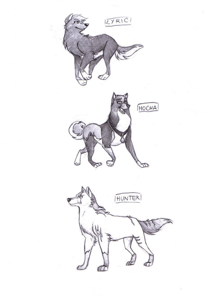 Sketch Requests