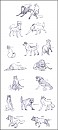Sketch Requests 4