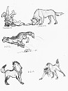 Sketch Requests 5