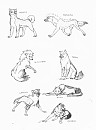 Sketch Requests 6