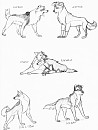 Sketch Requests 7
