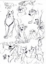 sketch dump