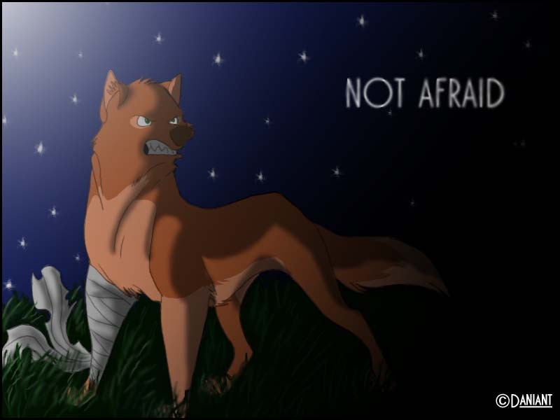 Not afraid