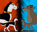 Opposite Sides