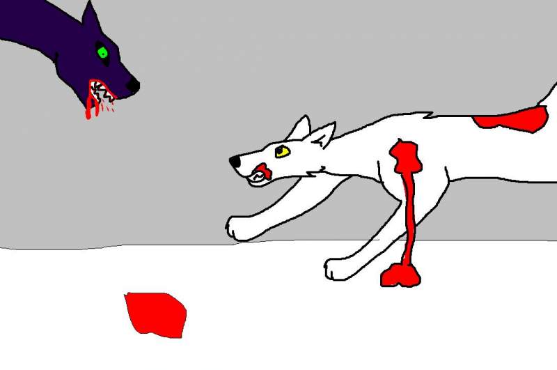 balto sence