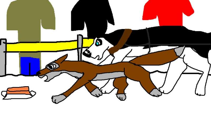 balto and steele
