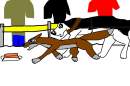 balto and steele