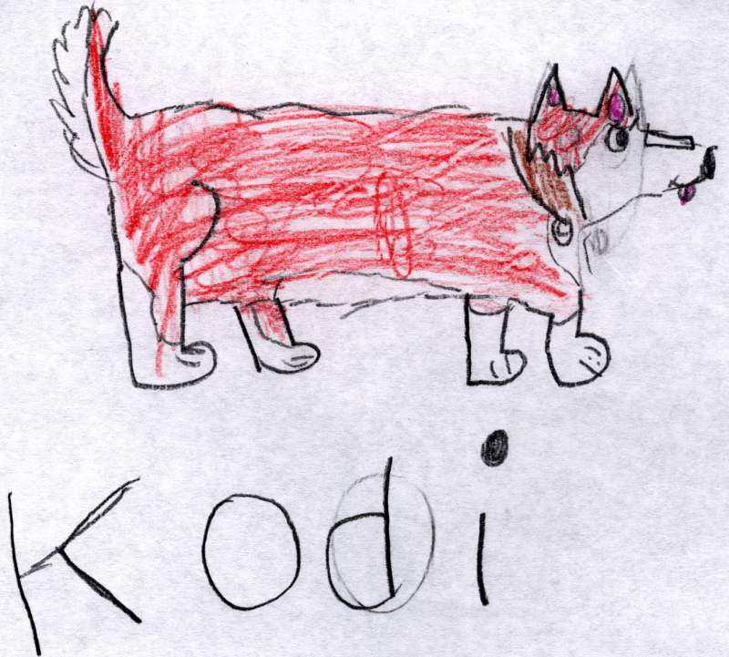 Kodi