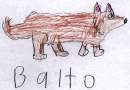 Balto