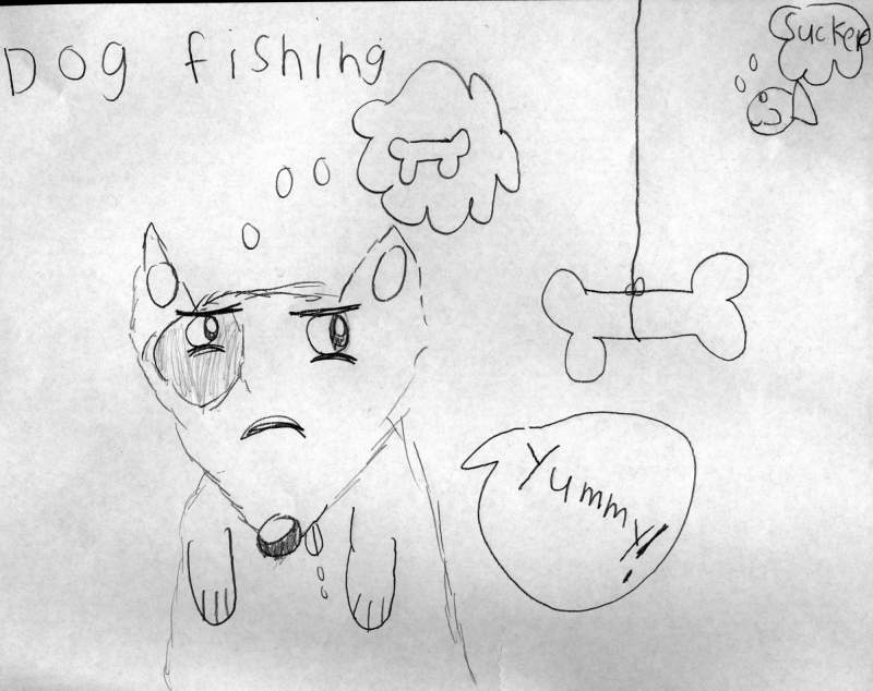 dog fishing