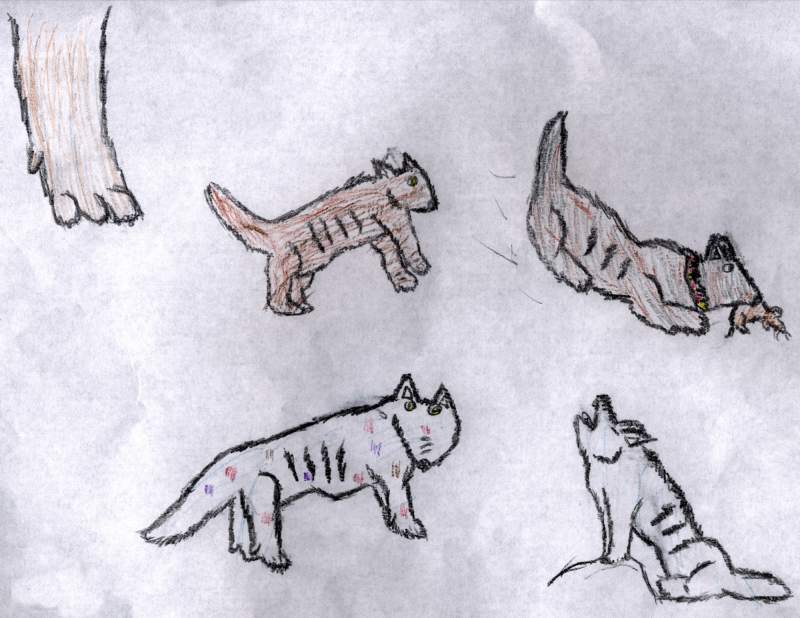 Wolves