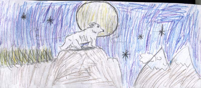wolf in front of the moon