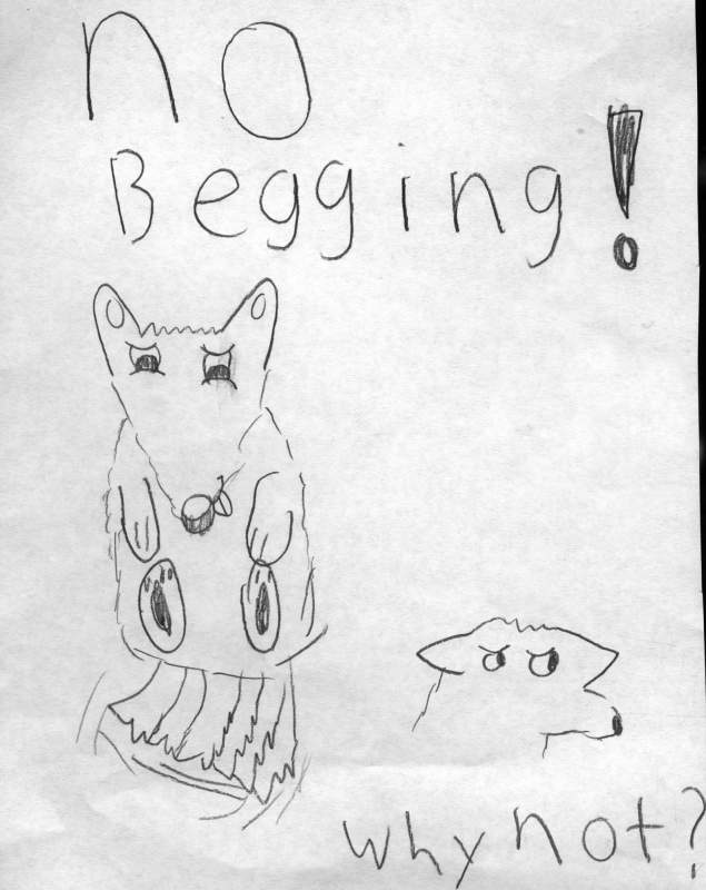 no begging!