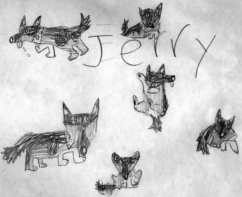 jerry