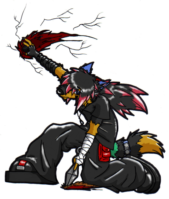 Youn Ninja DS