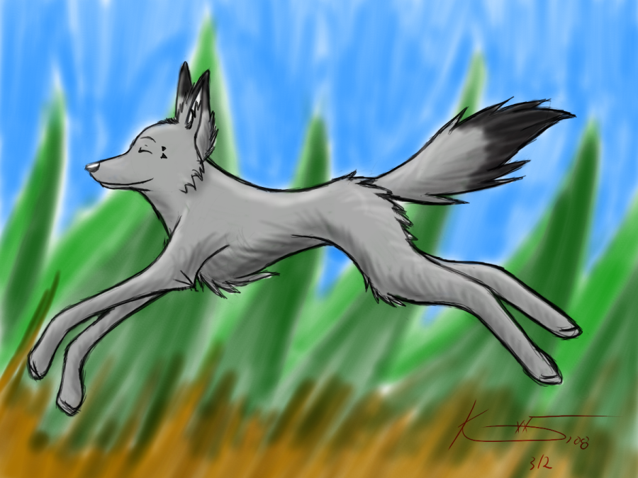 Sugarpaw