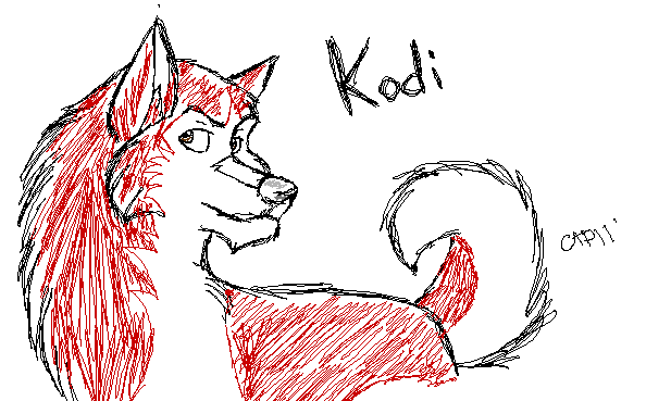 Kodi Sketch