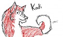 Kodi Sketch