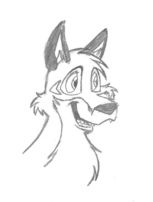 Own Style Balto