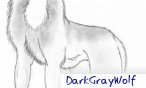 DarkGrayWolf